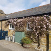 Stanegate Cottage - Sleeps up to 4 people, dog friendly